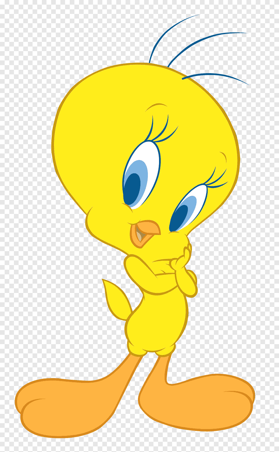 cartoon characters tweety bird