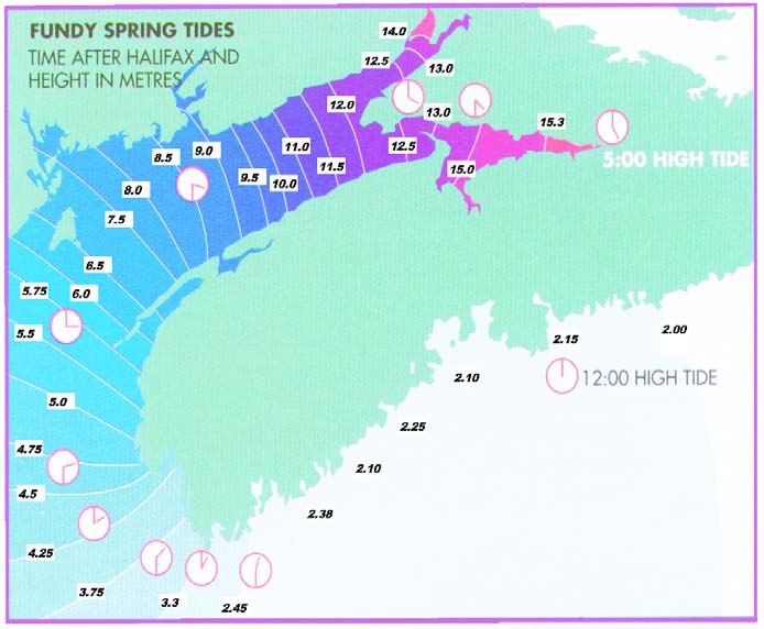 bay of fundy tide chart