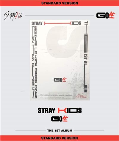 fnac stray kids