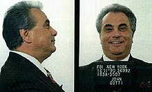 gambino family wiki