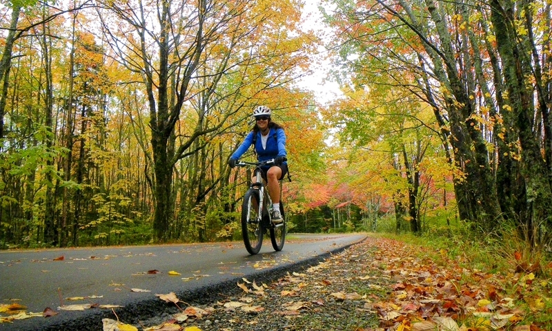 bike rentals in bar harbor maine