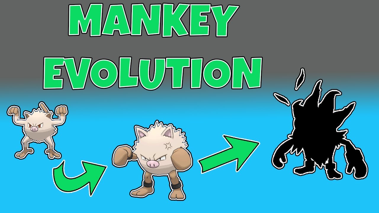 mankey evolution level