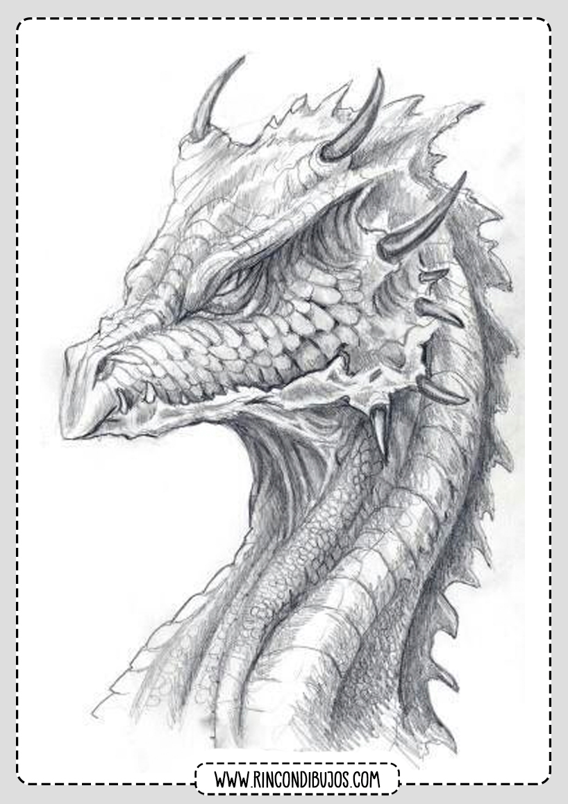 dibujos de dragones realistas