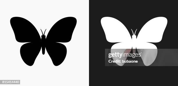 white butterfly clipart