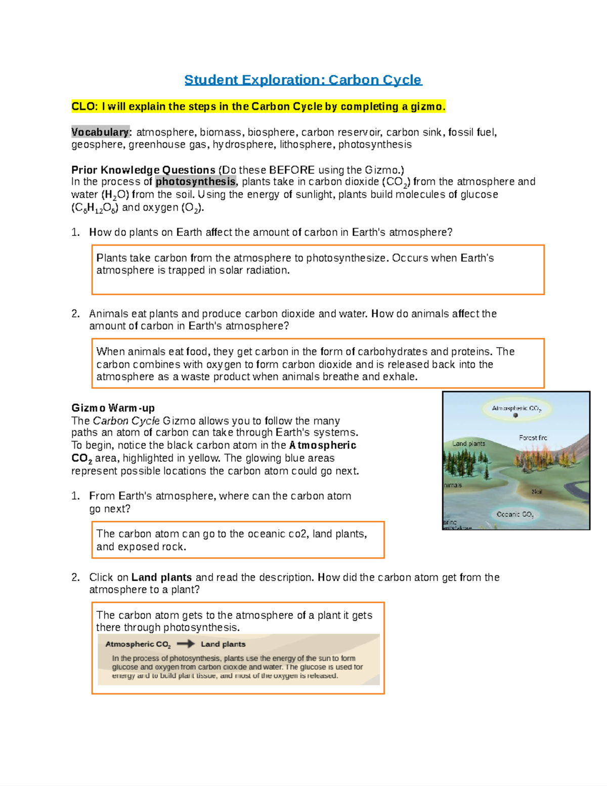 carbon cycle gizmo answers