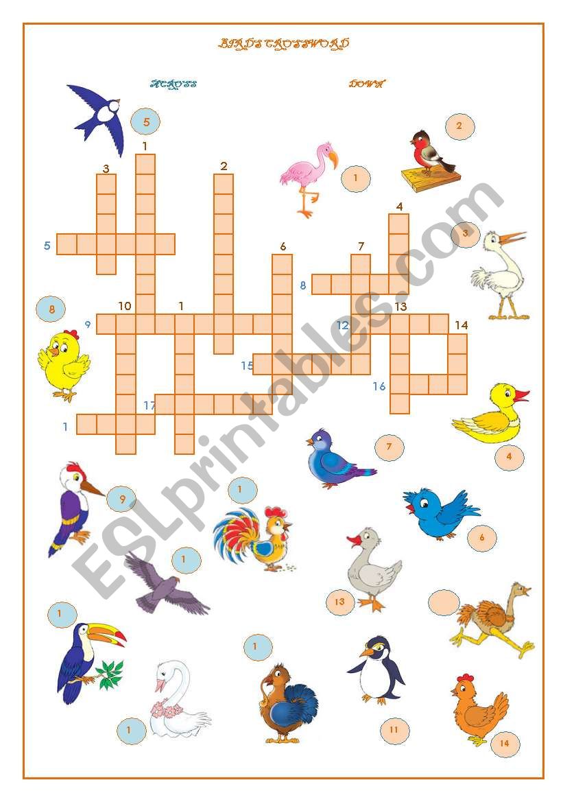 common bird crossword