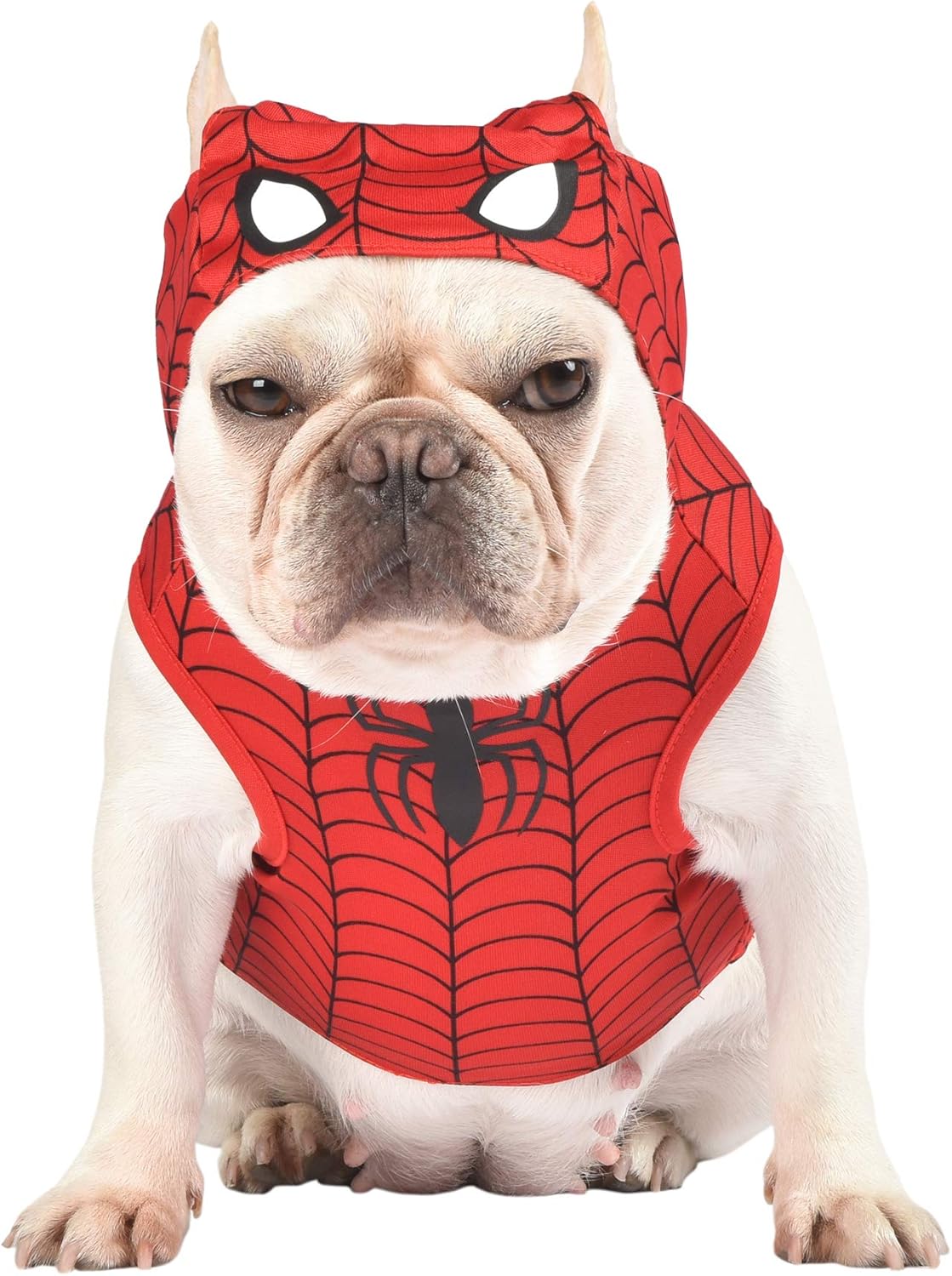 spiderman dog costume