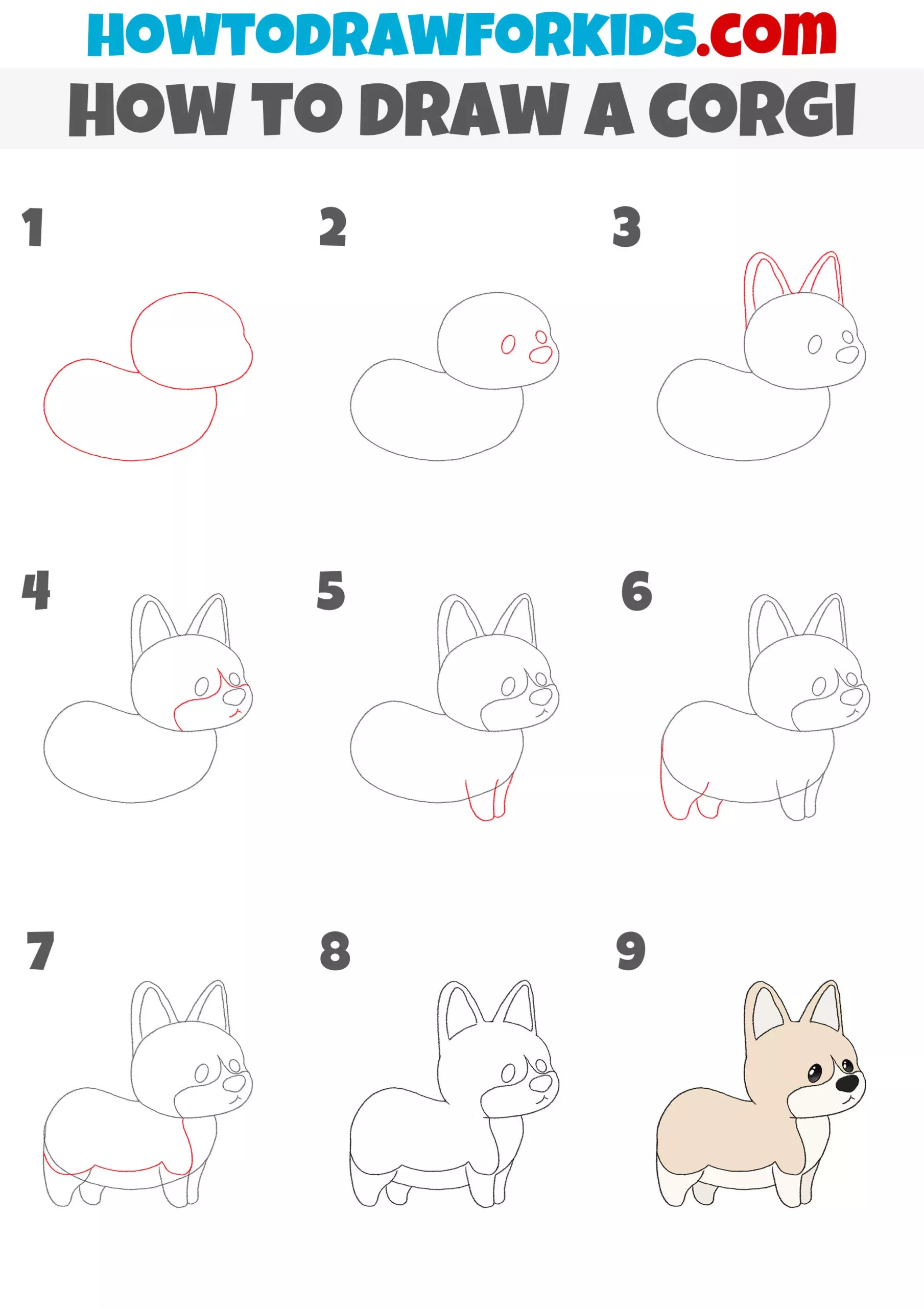 how to draw a corgi