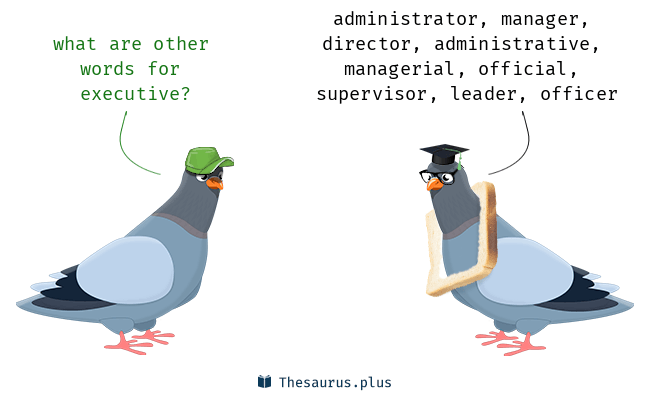 thesaurus executive