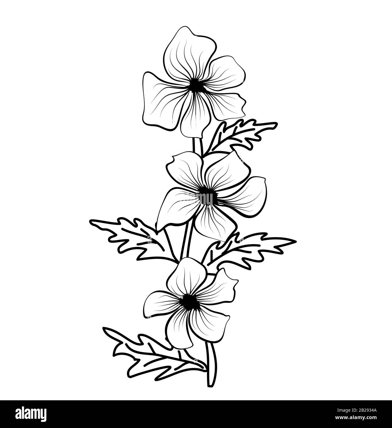 black outline flower