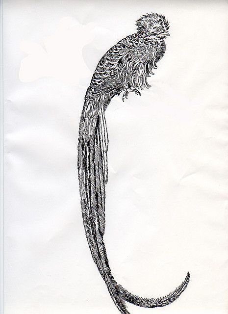 quetzal tattoo black and white