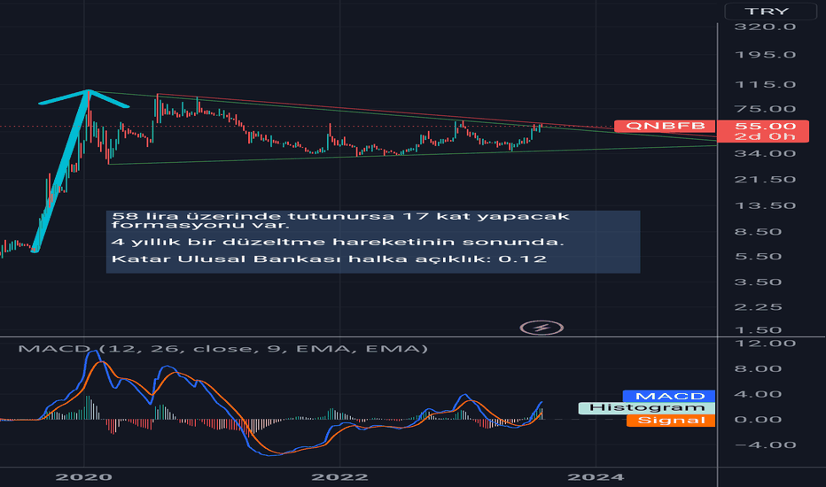 qnb finansbank hisse