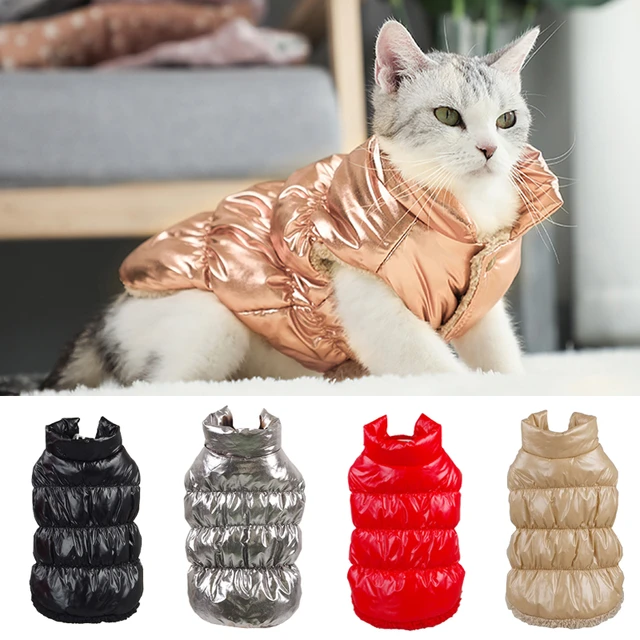 cat coats for winter