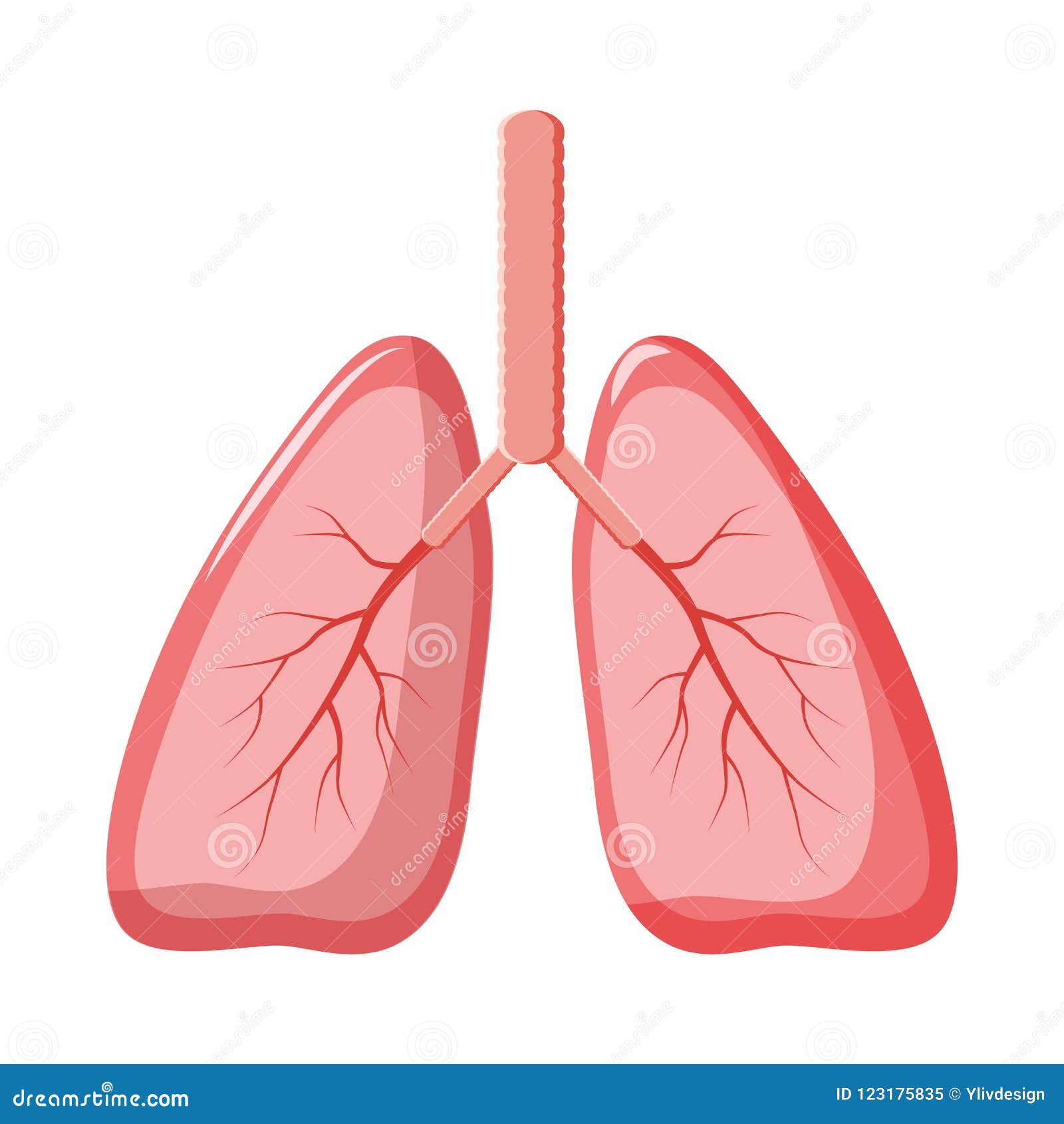 lungs cartoon