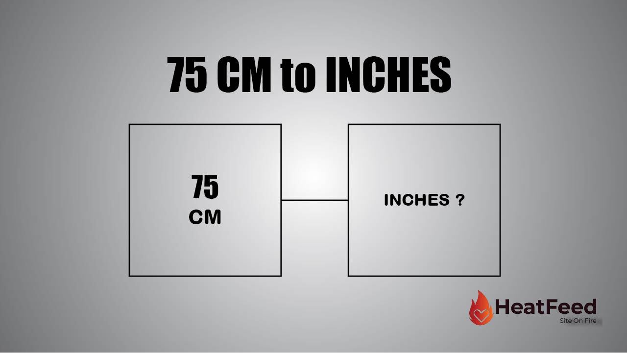 75 centimeters to inches