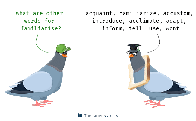 familiarise thesaurus