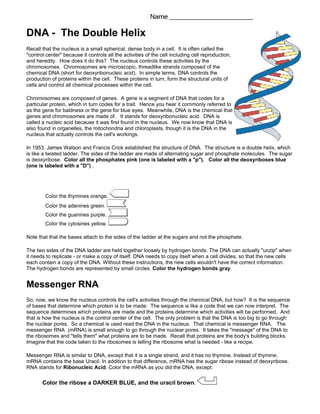 dna the double helix worksheet answer key