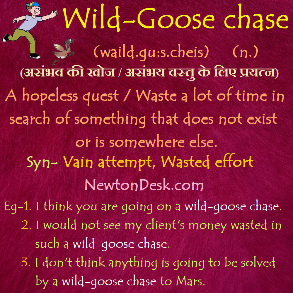 wild goose chase meaning in hindi