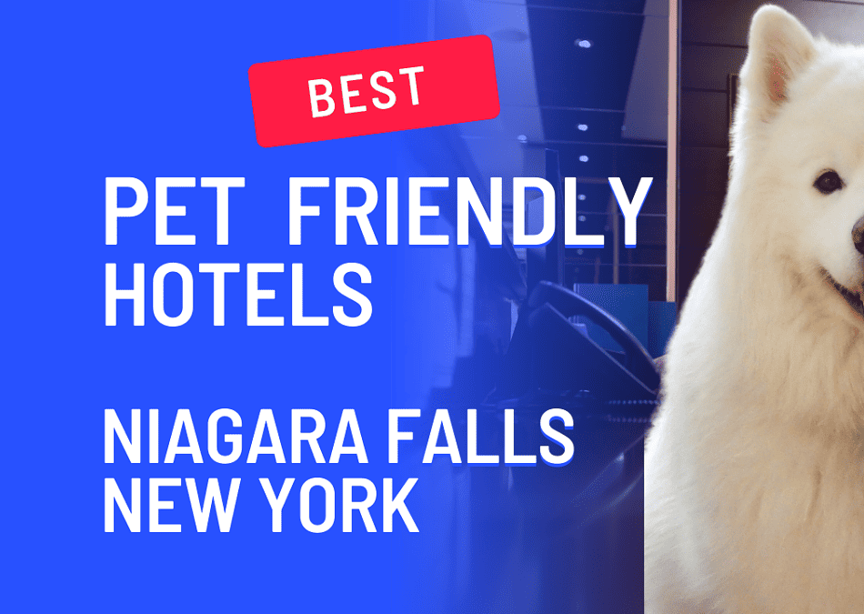 niagara falls dog friendly hotels