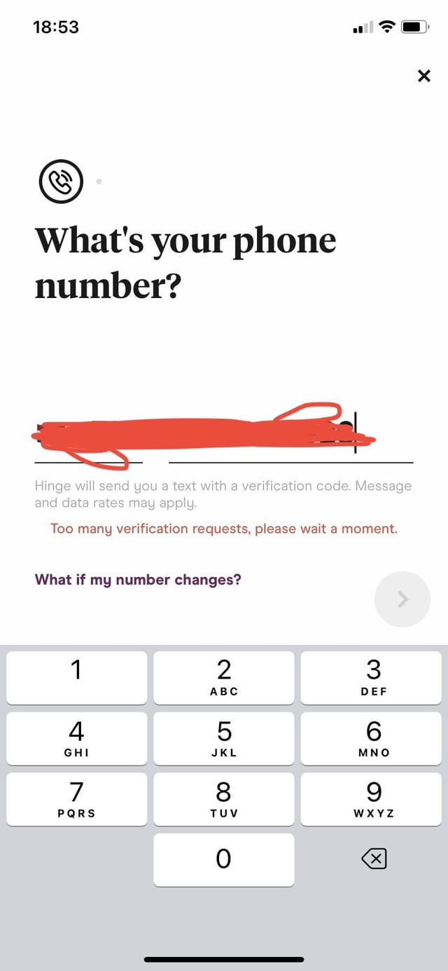 hinge too many verification requests