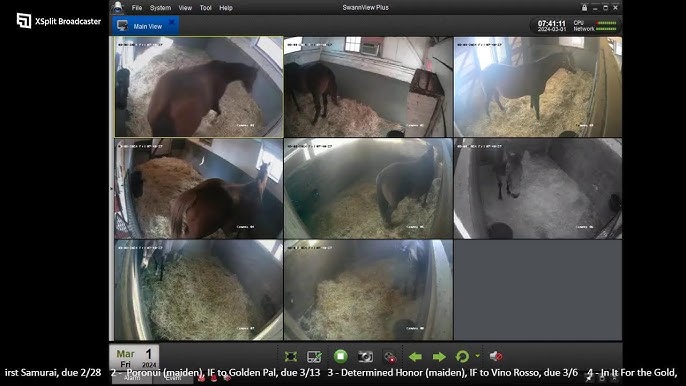 country life foaling cameras