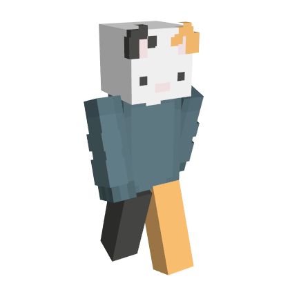 minecraft cat skin