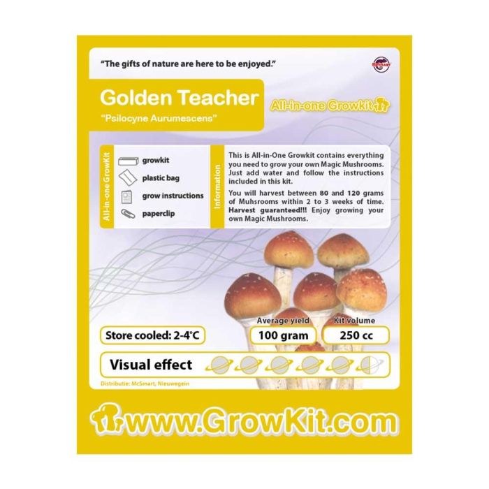 golden teacher mushroom kit