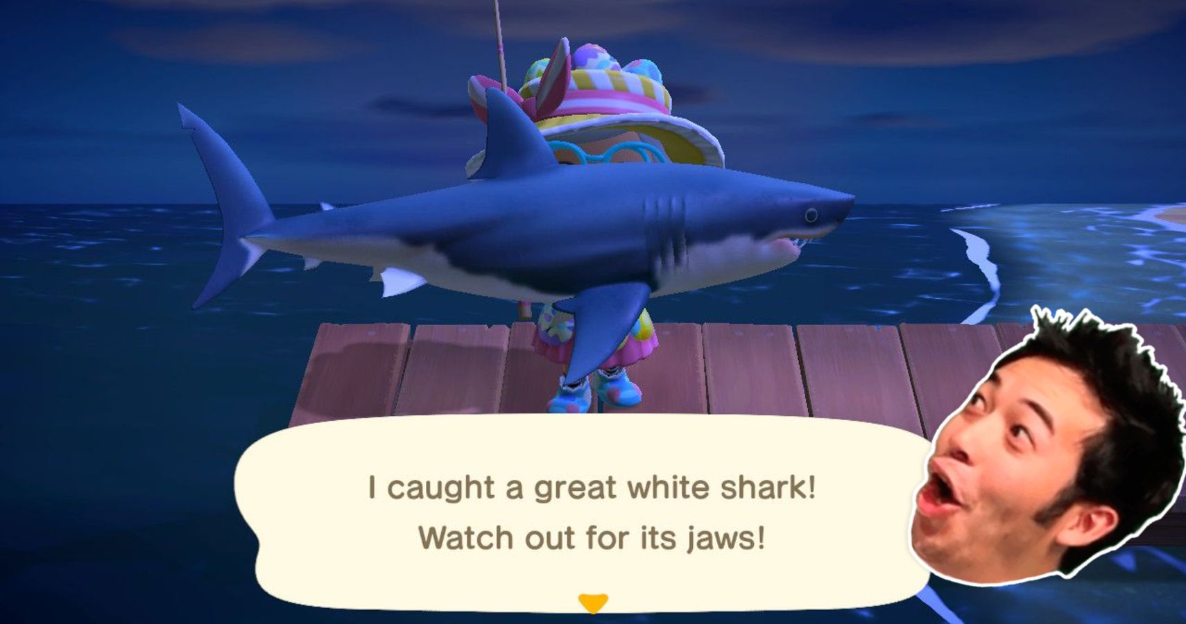 how rare are sharks in animal crossing