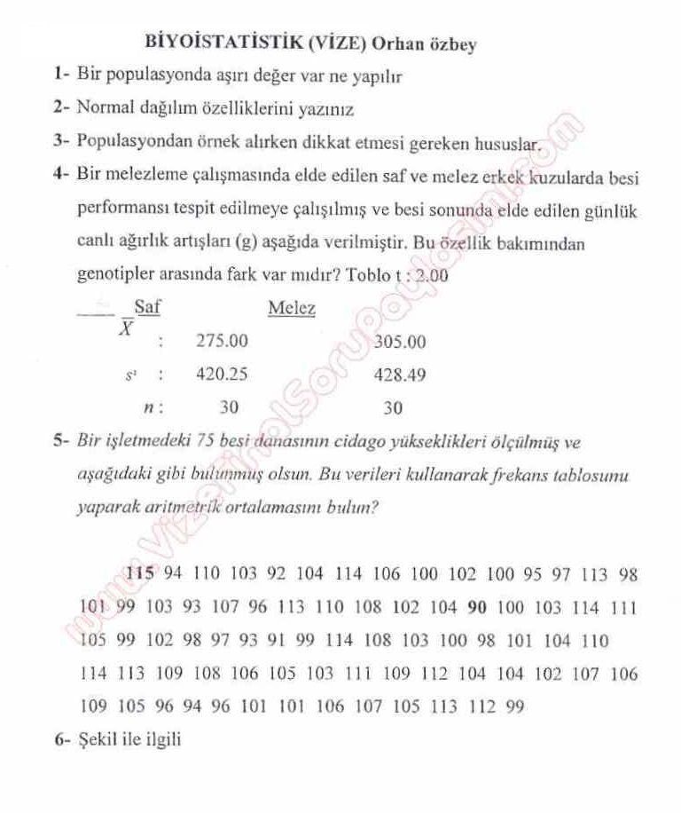 biyoistatistik vize soruları ve cevapları