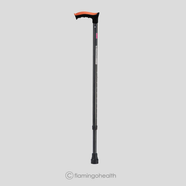 flamingo walking stick