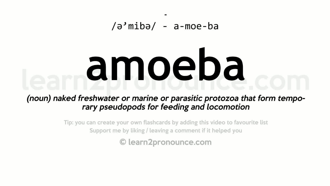 amoeba pronounce