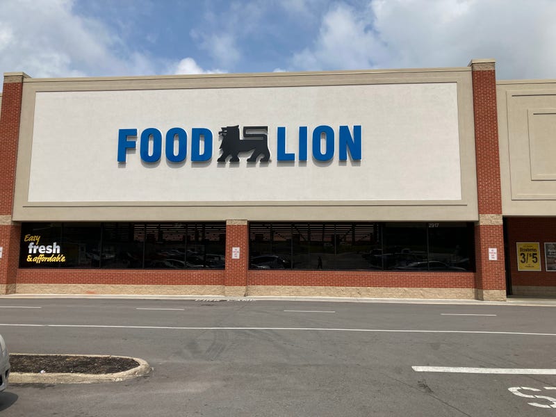 mini city food lion