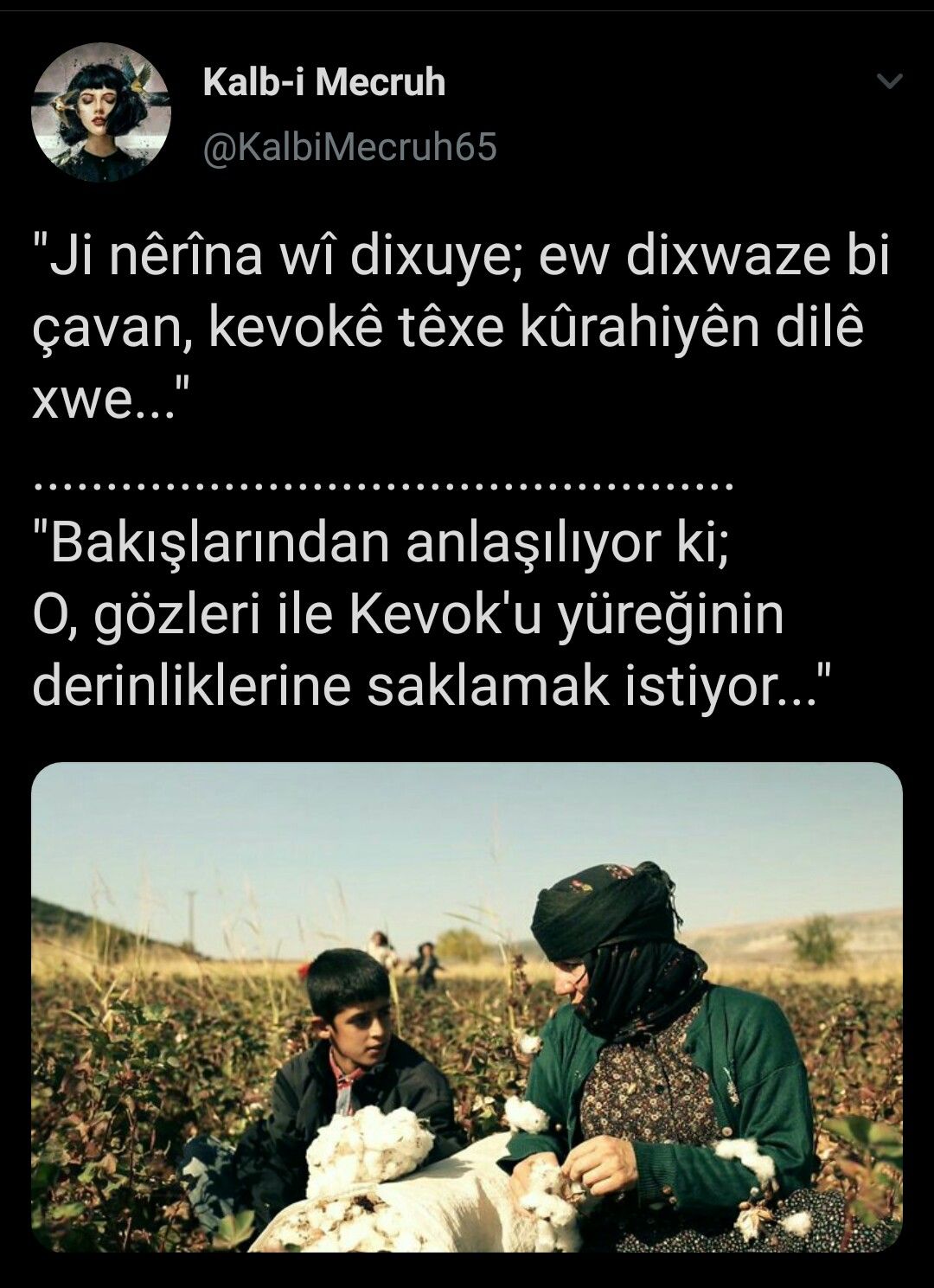 kürtçe güzel aşk sözleri