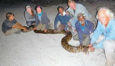 snake catcher in chennai