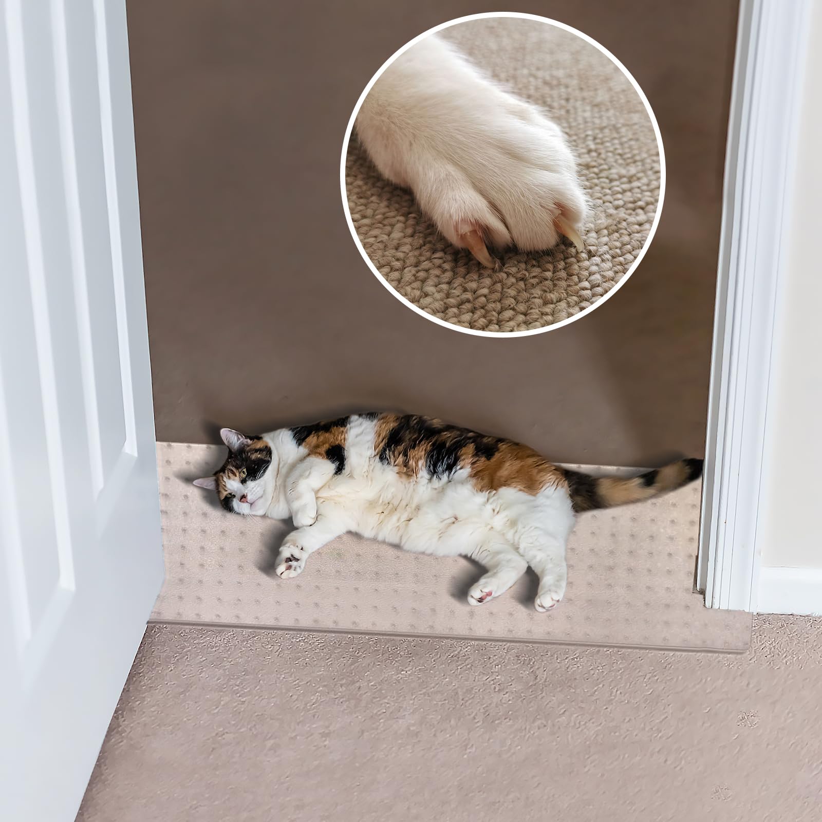 stop cat scratching door