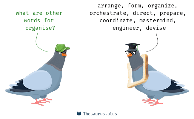 organise synonym