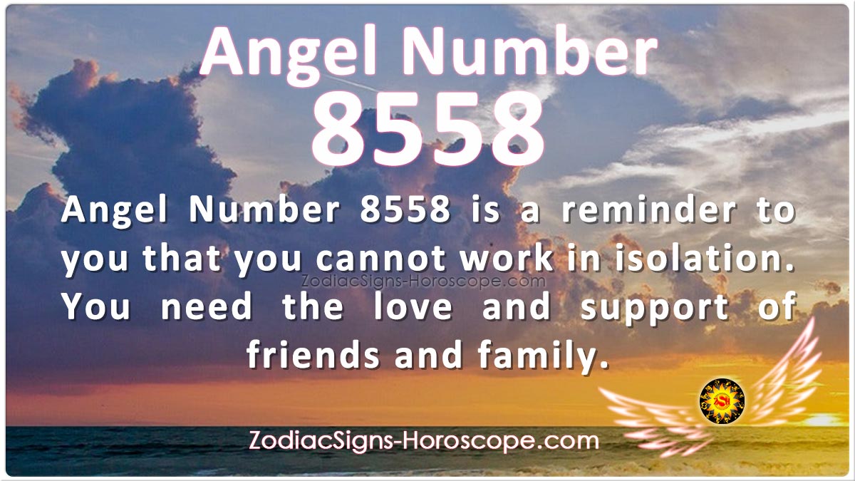 8558 angel number