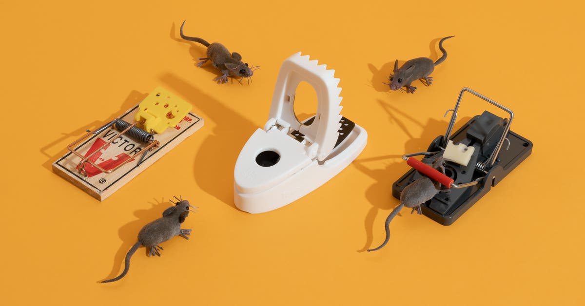 top rated rat traps