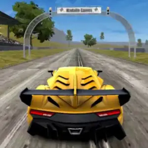 speed racing pro 2