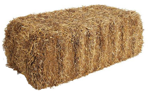 straw bales for sale