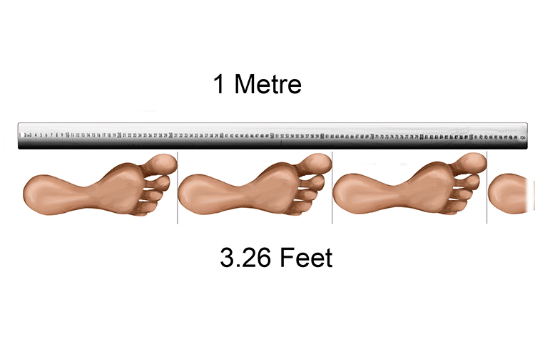 metres feet