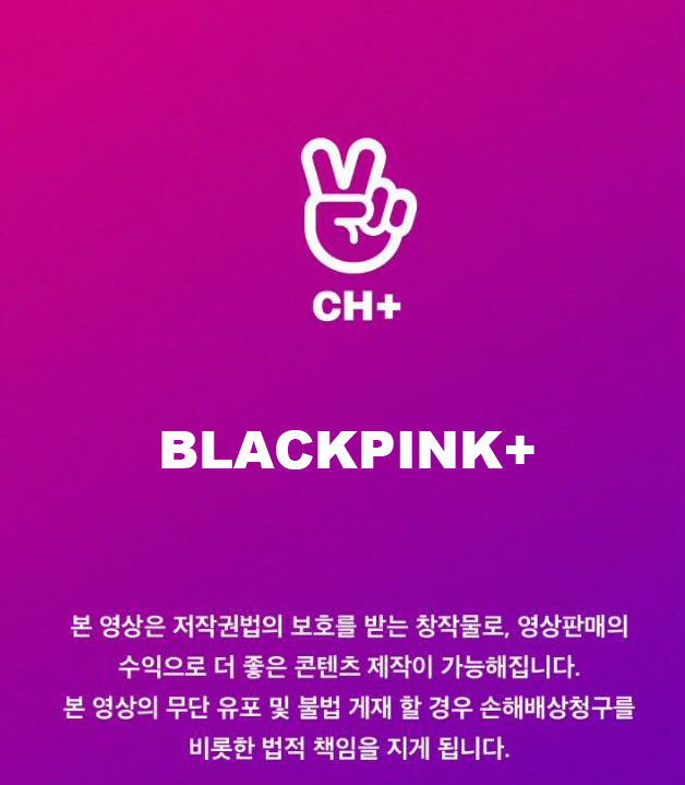 channel plus blackpink