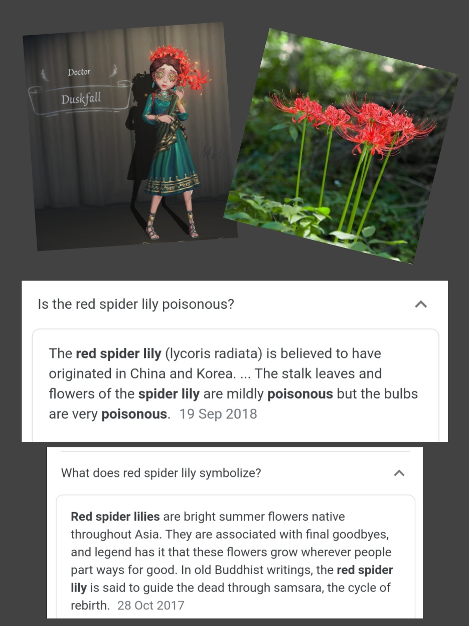 red spider lily meaning