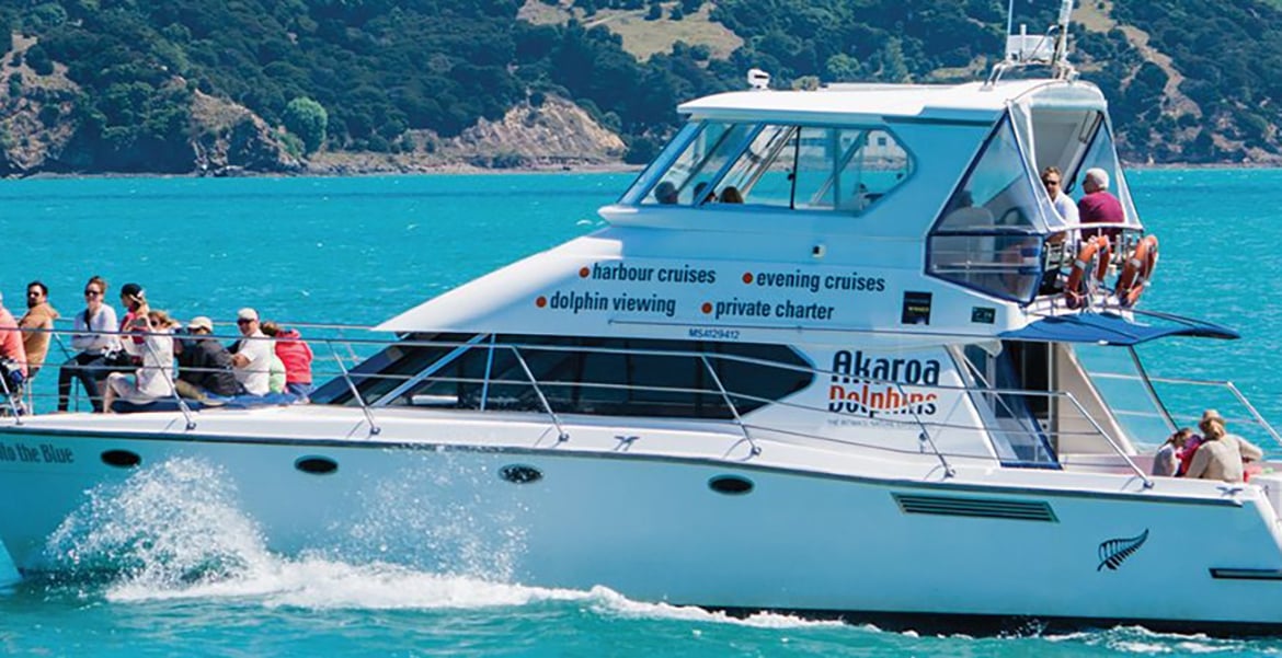 akaroa dolphin cruise