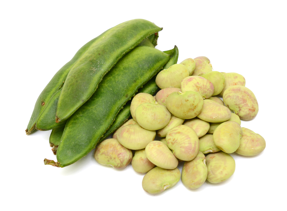 lima beans meaning in hindi