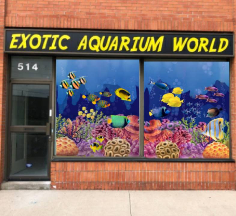 exotic aquarium world