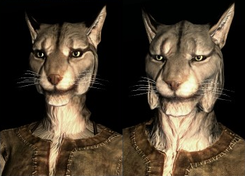 khajiit