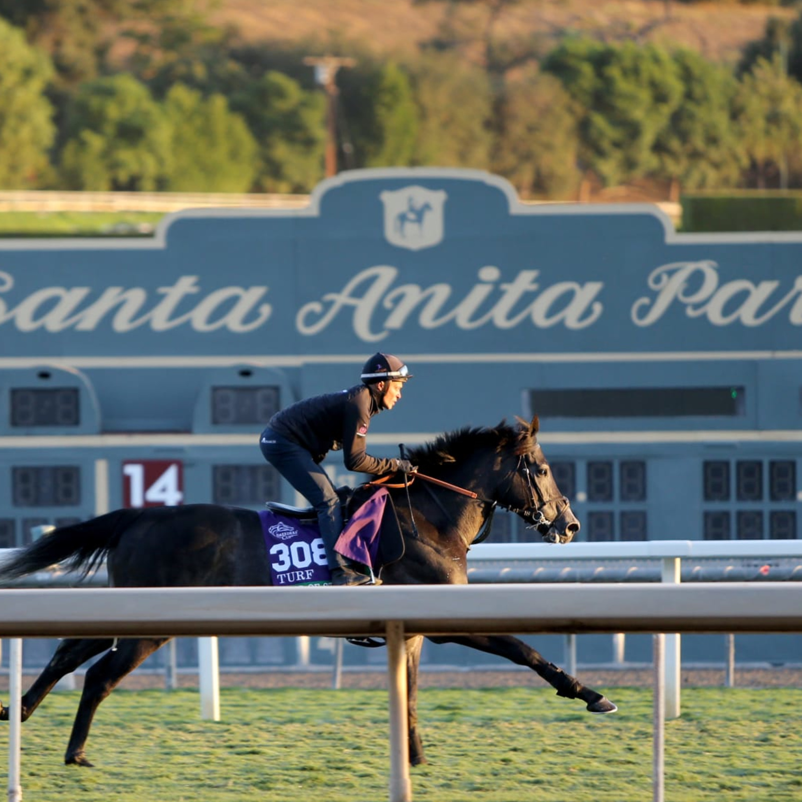 north america horse racing results