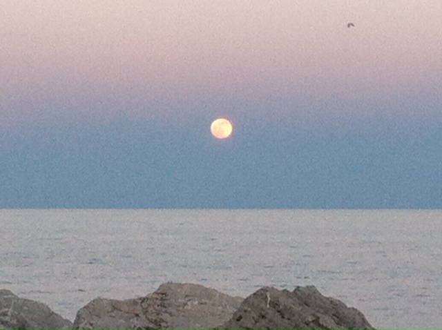 moon rise michigan