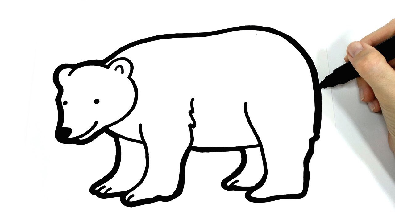 oso polar dibujo